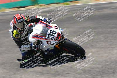 media/Jun-05-2022-WERA (Sun) [[64b01df28d]]/Race 3 C Superbike Expert Novice/